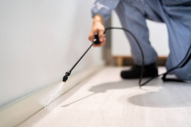 Licensed Pest Control service in Natchez, MS - Show Me Pest Control