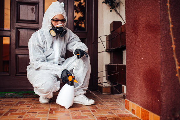 Reliable Ant Control contractor in Natchez, MS by Show Me Pest Control